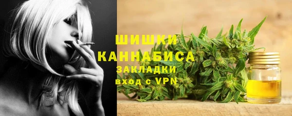 ПСИЛОЦИБИНОВЫЕ ГРИБЫ Алзамай