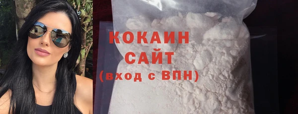 кокс Алексин