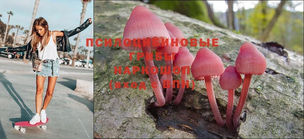 ПСИЛОЦИБИНОВЫЕ ГРИБЫ Алзамай