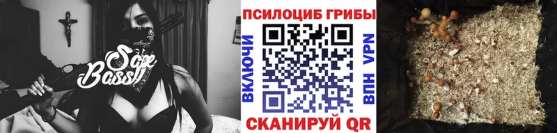 цена   Белгород  Галлюциногенные грибы GOLDEN TEACHER 