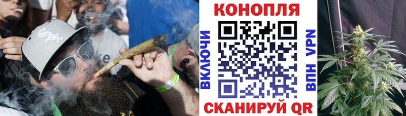 Бошки Шишки ГИДРОПОН закладки Белгород
